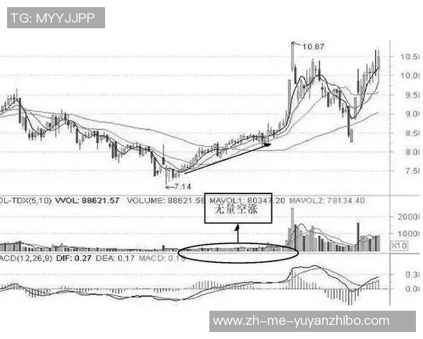 足球操盘师揭秘如何打造冠军球队的成功之路与策略分析