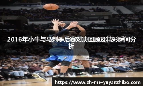 雨燕体育直播平台