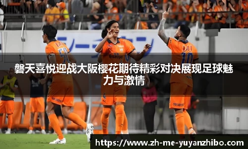 雨燕体育直播官方网站