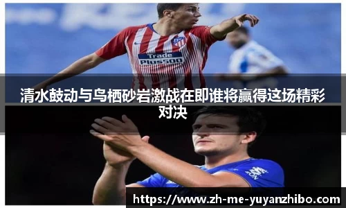 雨燕体育直播官方网站