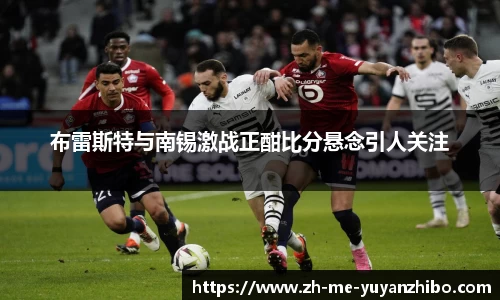 雨燕体育直播APP