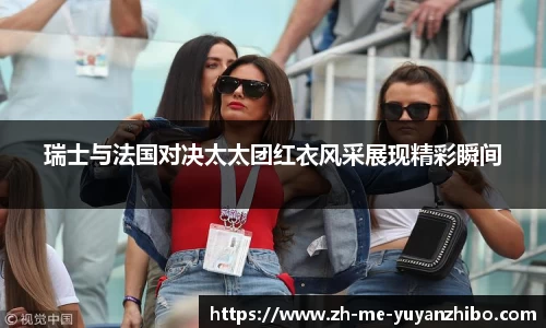 雨燕体育直播平台