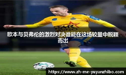 雨燕体育直播官方网站