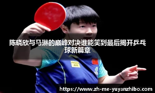 雨燕体育直播官方网站