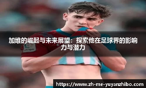 雨燕体育直播官方网站