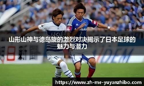 雨燕体育直播APP