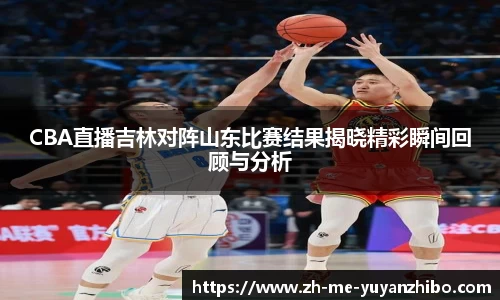 雨燕体育直播平台