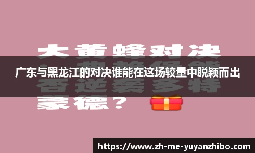 雨燕体育直播APP