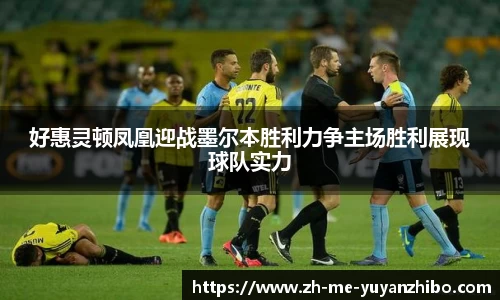 雨燕体育直播APP