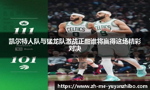 雨燕体育直播APP