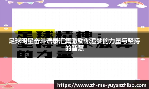 雨燕体育直播APP