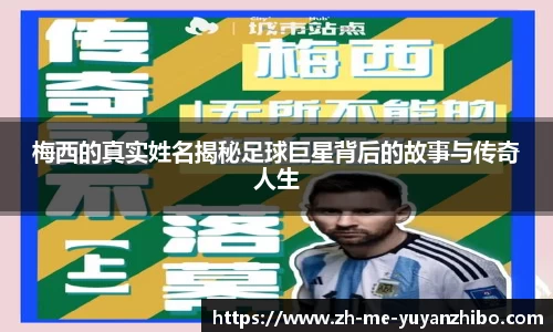 雨燕体育直播平台