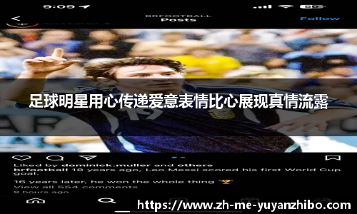 雨燕体育直播官方网站