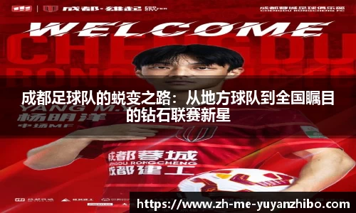 雨燕体育直播APP