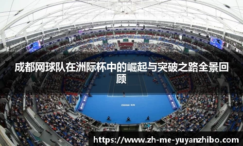 雨燕体育直播平台