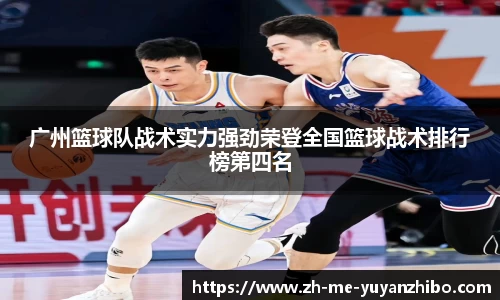 雨燕体育直播官方网站