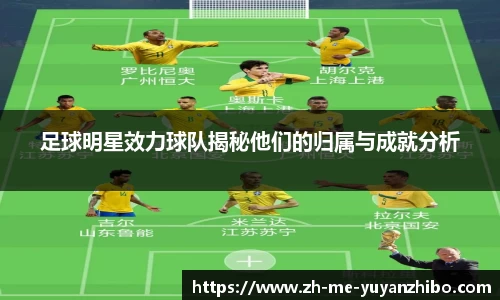 雨燕体育直播平台