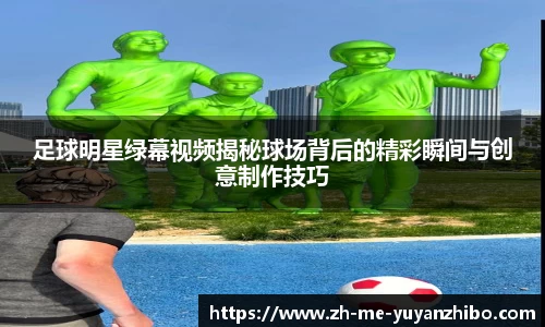 雨燕体育直播平台