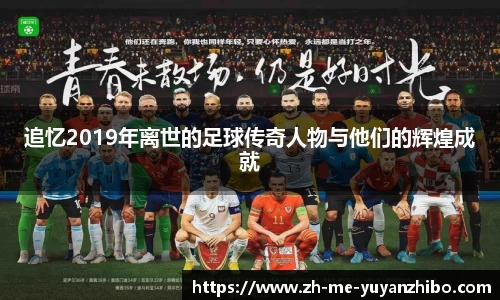 雨燕体育直播APP