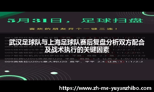 雨燕体育直播平台