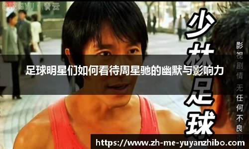 雨燕体育直播官方网站