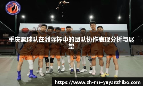 雨燕体育直播官方网站