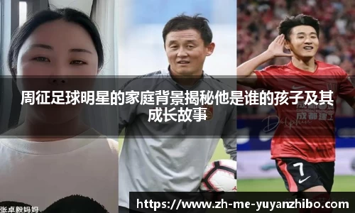 雨燕体育直播平台