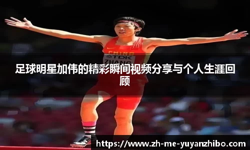 雨燕体育直播平台