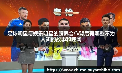 雨燕体育直播平台