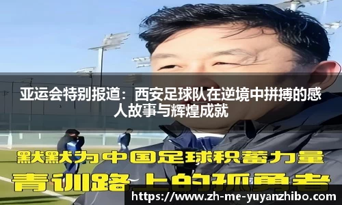 雨燕体育直播APP