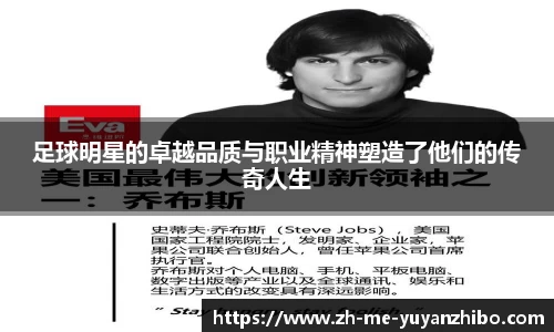 雨燕体育直播平台