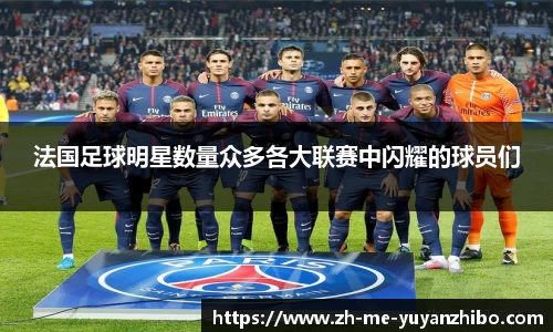 雨燕体育直播APP