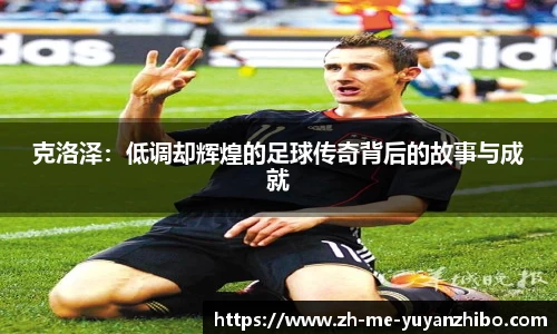 雨燕体育直播官方网站