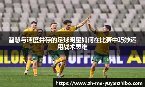 雨燕体育直播APP