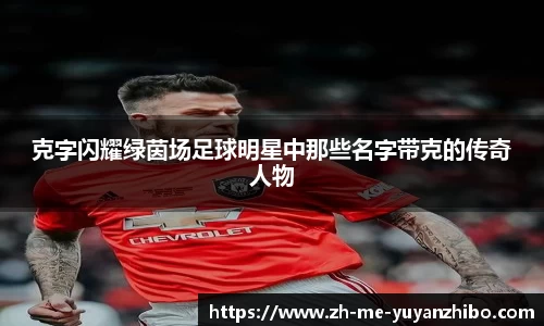 雨燕体育直播平台