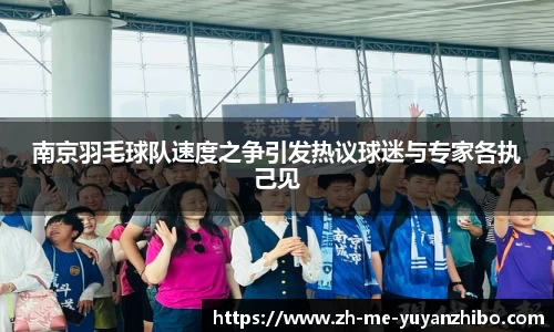 雨燕体育直播平台