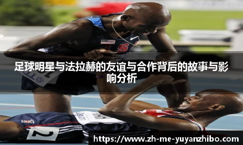 雨燕体育直播官方网站