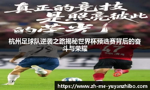 雨燕体育直播APP