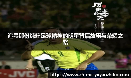 雨燕体育直播平台