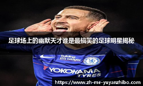 雨燕体育直播平台