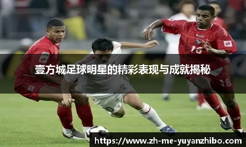 雨燕体育直播APP