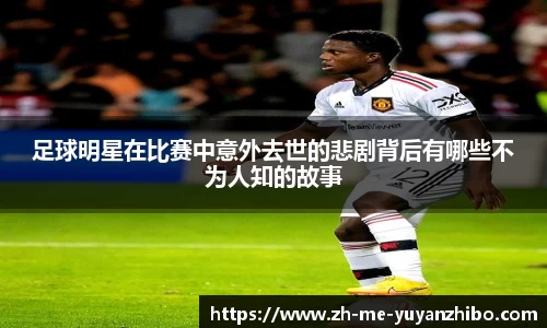 雨燕体育直播APP