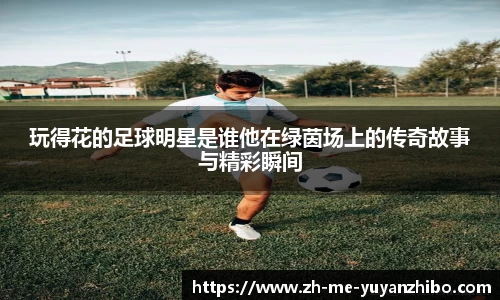 雨燕体育直播平台